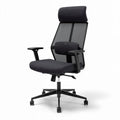 Ergonomic office chair with mesh backrest and adjustable headrest in black 45 x 60 x 110cm